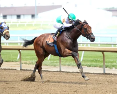 Lightly raced Zinhal makes a run at W.Va. Derby